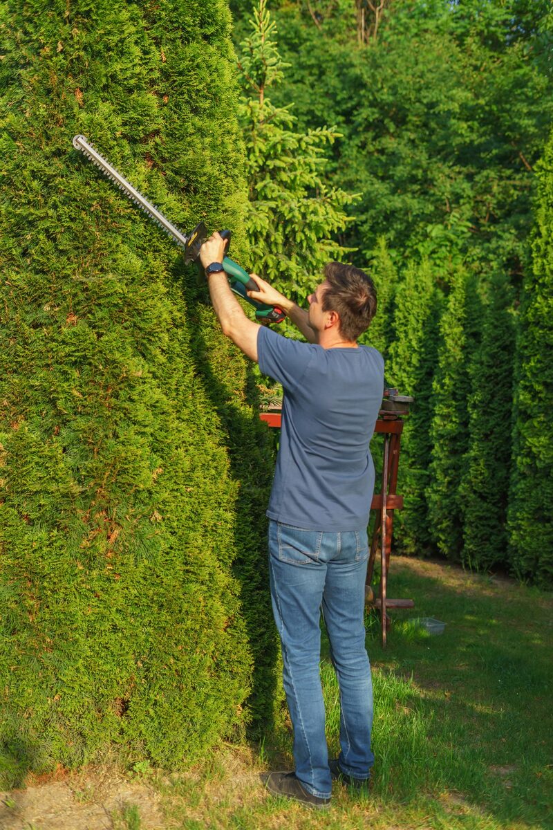 Grounds worker trimming a hedge line along an apartment property